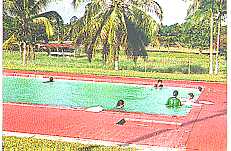 kolam.jpg (11137 bytes)